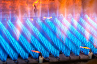 Edistone gas fired boilers