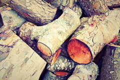 Edistone wood burning boiler costs
